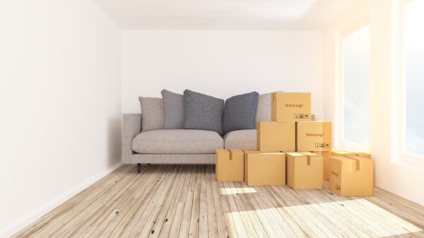 Kleiner Raum mit Sofa und Kartons.